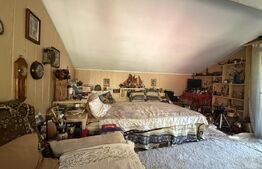 Casa P+M, 777 mp teren, Breasta