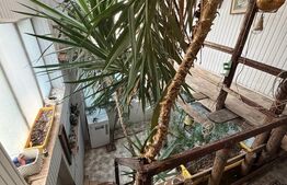 Casa P+M, 777 mp teren, Breasta