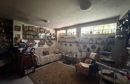 Casa P+M, 777 mp teren, Breasta