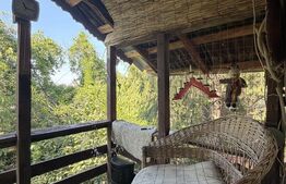 Casa P+M, 777 mp teren, Breasta