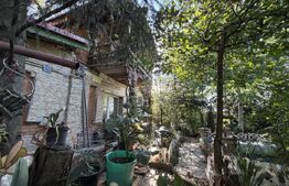 Casa P+M, 777 mp teren, Breasta