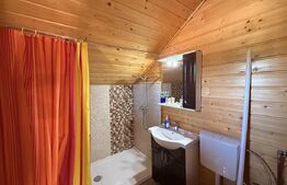 Casă P + M și curte 2200 mp, cu piscină 50 mp, teren fotbal, Urechești