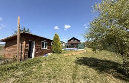 Casă P + M și curte 2200 mp, cu piscină 50 mp, teren fotbal, Urechești
