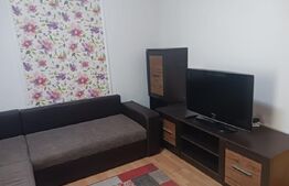 Garsoniera de inchiriat, 30 mp, zona Lapus