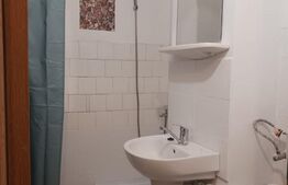 Garsoniera de inchiriat, 25 mp, zona Lapus