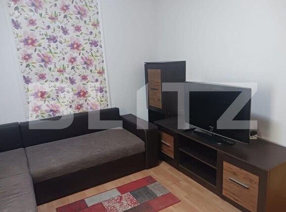 Garsonieră de închiriat Lapus - 202268AI | BLITZ Craiova | Poza2