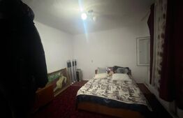 Casa parter, 100 mp utili, 263 mp teren, zona Gradina Botanica