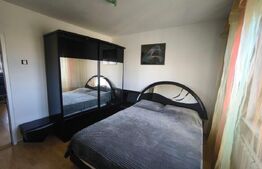 Apartament cu 3 camere, decomandat, 2 băi și pet friendly, zona centrala