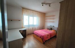 Apartament cu 3 camere, decomandat, 2 băi și pet friendly, zona centrala