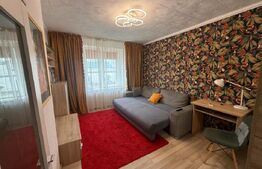 Garsonieră decomandată, 30 mp, zona Ultracentrală - Primărie