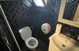 Spațiu comercial cu terasă și curte amenajată