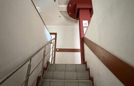Spațiu comercial mixt, 550 mpu, 550 mp teren, Craiovita