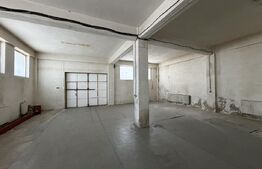 Spațiu comercial mixt, 550 mpu, 550 mp teren, Craiovita