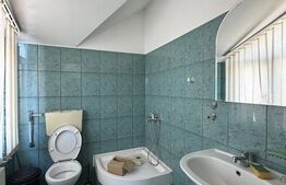 Spațiu comercial, 550 mp, zona Craiovita Noua