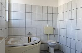 Spațiu comercial mixt, 550 mpu, 550 mp teren, Craiovita
