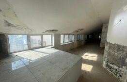 Casa individuala, 466.47 mp, zona Catargiu