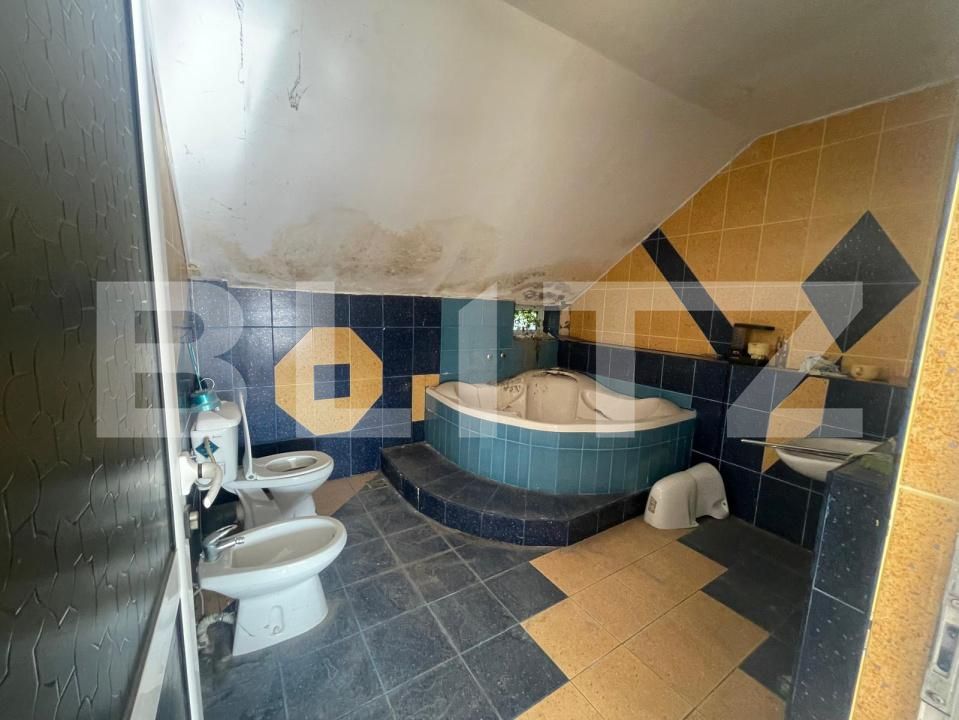 Casa de vânzare 10 camere Lascar Catargiu - 202404CV | BLITZ Craiova | Poza18