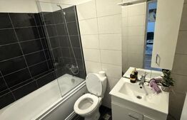 Apartament 2 camere, 50 mp, zona Calea Severinului