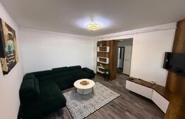 Apartament 2 camere, 50 mp, zona Calea Severinului