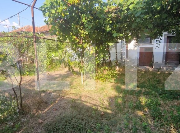 Casa de vânzare 3 camere Lascar Catargiu - 202505CV | BLITZ Craiova | Poza5