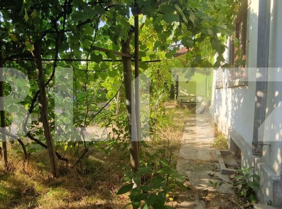 Casa de vânzare 3 camere Lascar Catargiu - 202505CV | BLITZ Craiova | Poza7