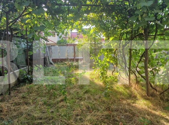 Casa de vânzare 3 camere Lascar Catargiu - 202505CV | BLITZ Craiova | Poza6