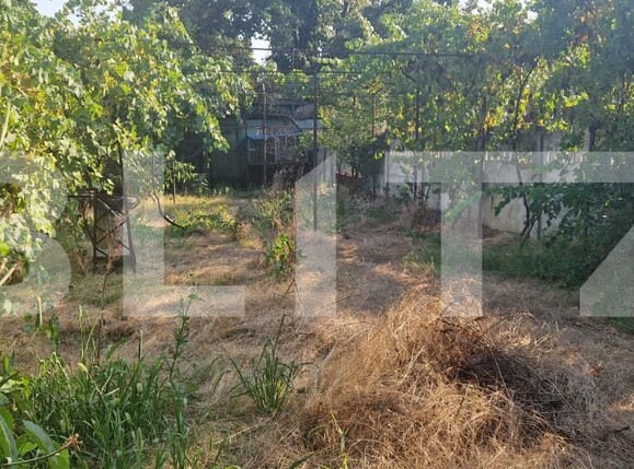 Casa de vânzare 3 camere Lascar Catargiu - 202505CV | BLITZ Craiova | Poza4