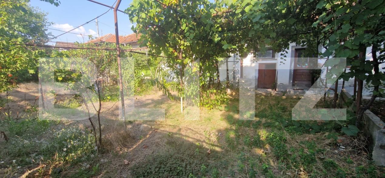 Casa de vânzare 3 camere Lascar Catargiu - 202505CV | BLITZ Craiova | Poza5