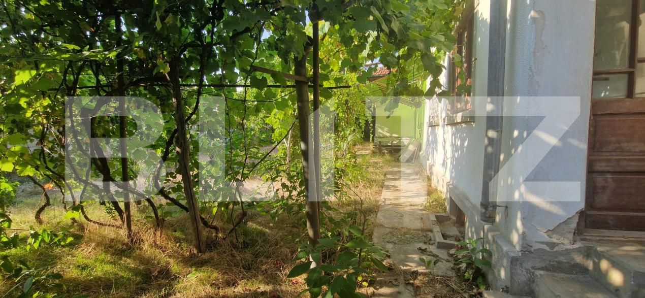 Casa de vânzare 3 camere Lascar Catargiu - 202505CV | BLITZ Craiova | Poza7
