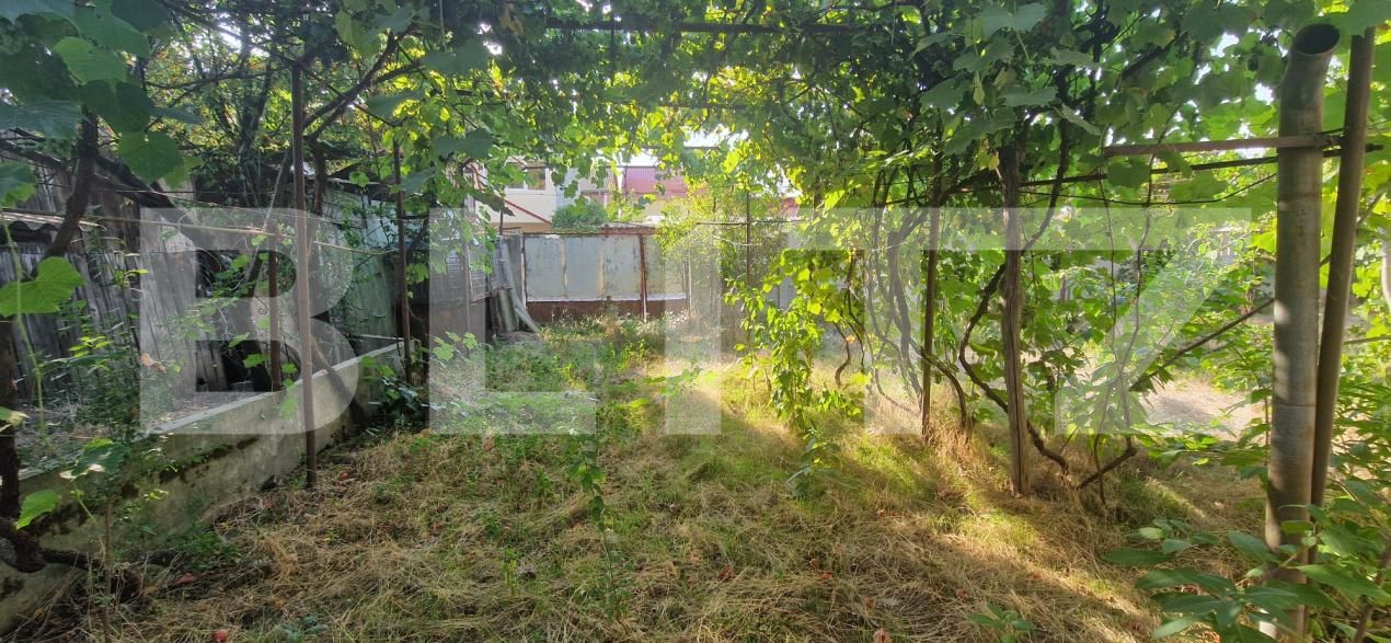 Casa de vânzare 3 camere Lascar Catargiu - 202505CV | BLITZ Craiova | Poza6