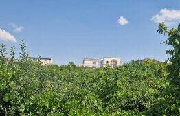 Teren intravilan, 9600 mp, zona Plaiul Vulcanesti