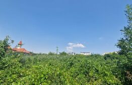 Teren intravilan, 9600 mp, zona Plaiul Vulcanesti