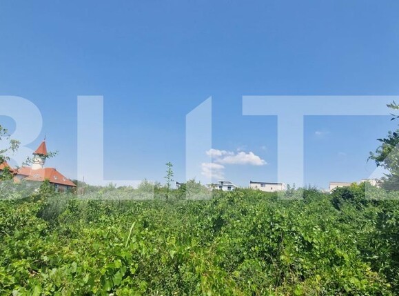 Teren de vânzare Carcea  - 202528TV | BLITZ Craiova | Poza3