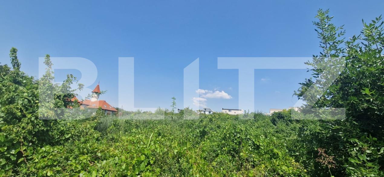 Teren de vânzare Carcea  - 202528TV | BLITZ Craiova | Poza3
