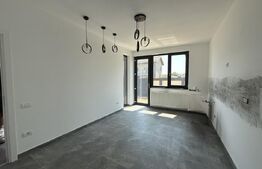 Casa P+1, 155 mp, teren 490 mp, piscina, zona Sudica