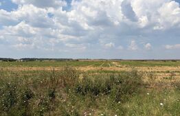 Teren, 12.000 mp, deschidere 51,17 ml, zona Cârcea 