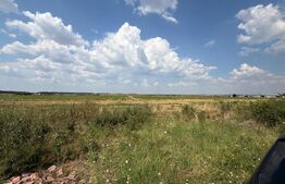 Teren, 12.000 mp, deschidere 51,17 ml, zona Cârcea 