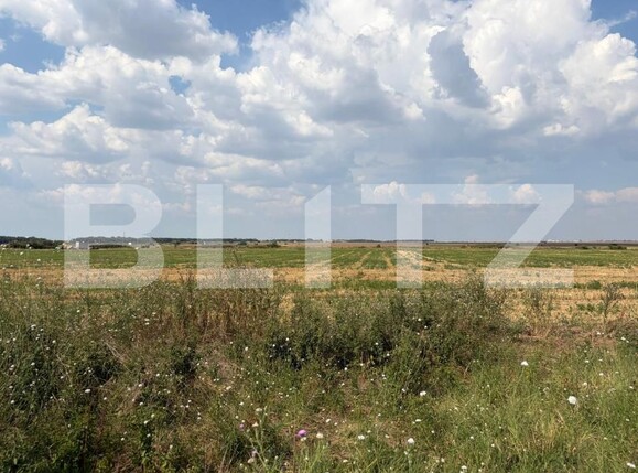 Teren de vânzare Carcea  - 202555TV | BLITZ Craiova | Poza1