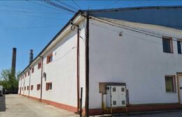 Spațiu industrial de închiriat Exterior Est - 147768SII | BLITZ Craiova | Poza1