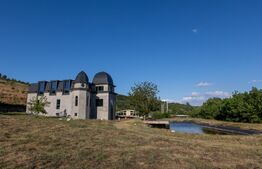 Pensiune 11 camere, cramă, terasă închisă, teren 15.073mp, zona Leamna