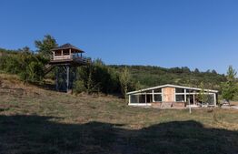 Pensiune 11 camere, cramă, terasă închisă, teren 15.073mp, zona Leamna