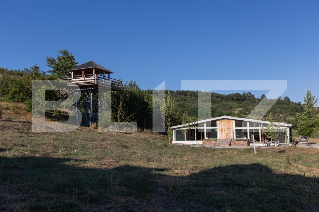 Spațiu comercial de vânzare Exterior Vest - 202600SVC | BLITZ Craiova | Poza5