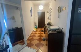 Apartament 3 camere, open-space, renovat, Brazda lui Novac