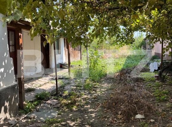 Teren de vânzare Malu Mare - 202634TV | BLITZ Craiova | Poza2