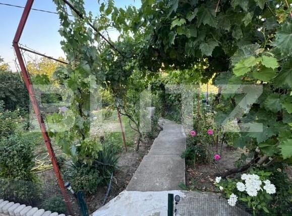Casa de vânzare 4 camere Podari - 202692CV | BLITZ Craiova | Poza9