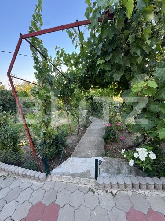 Casa de vânzare 4 camere Podari - 202692CV | BLITZ Craiova | Poza9