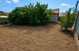 Spatiu comercial de inchiriat, 63 mp, zona Bariera Valcii