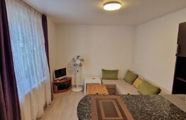 Apartament 2 camere, 32 mp, zona Bariera Vâlcii