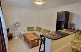 Garsonieră de vânzare Central - 110681AV | BLITZ Craiova | Poza1