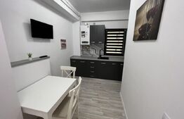 Garsoniera decomandata, loc de parcare, bloc nou, Calea Severinului